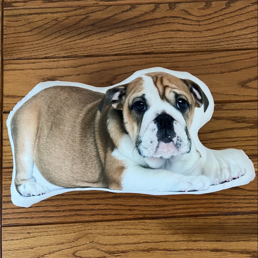 Adorable pillow chubby English bulldog 15 x 8 stuffed Double sided dog print